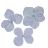 Стикер 52 Flowers Aesthetic