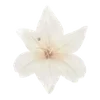 Стикер 45 Flowers Aesthetic