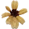 🫥 Эмодзи «Pressed flowers» для Telegram