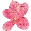 Стикерпак Pressed flowers для Telegram