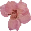 🫥 Эмодзи «Pressed flowers» для Telegram