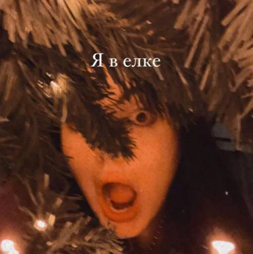 🎄 Стикер «дашка каплан» для Telegram
