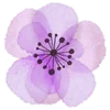 Стикер 56 Watercolor Flowers