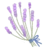 Стикер 51 Watercolor Flowers