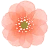 Стикер 10 Watercolor Flowers