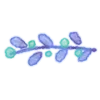 Стикер 24 Watercolor Flowers