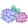 Стикер 48 Watercolor Flowers