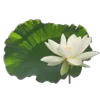 Стикер 24 Flowers, tea and peace