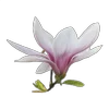 Стикер 17 Flowers, tea and peace