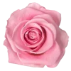 🌸 Эмодзи «flowers and something» для Telegram