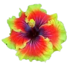 🌸 Эмодзи «flowers and something» для Telegram