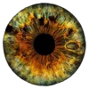 👁 Эмодзи «flowers and something» для Telegram