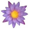 🌸 Эмодзи «flowers and something» для Telegram