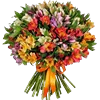 💐 Эмодзи «Flowers Emoji Pack» для Telegram
