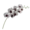 Стикер 42 Цветы - blossom flowers