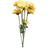 Стикер 32 Цветы - blossom flowers