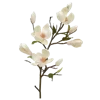 Стикер 38 Цветы - blossom flowers