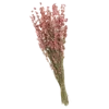 Стикер 24 Цветы - blossom flowers