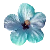 Стикер 56 Цветы - blossom flowers