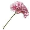 Стикер 11 Цветы - blossom flowers