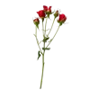Стикер 49 Цветы - blossom flowers