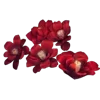 Стикер 26 Цветы - blossom flowers
