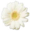 Стикер 4 Цветы - blossom flowers