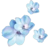 Стикер 17 Цветы - blossom flowers