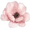 Стикер 5 Цветы - blossom flowers