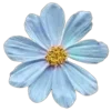 Стикер 6 Цветы - blossom flowers