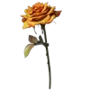 Стикер 25 Цветы - blossom flowers