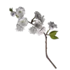 Стикер 28 Цветы - blossom flowers