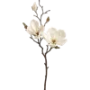 Стикер 37 Цветы - blossom flowers