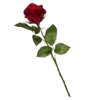 Стикер 54 Цветы - blossom flowers