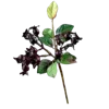 Стикер 48 Цветы - blossom flowers