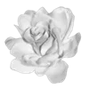 Стикер 14 Цветы - blossom flowers