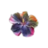 Стикер 2 🤩 flowers - цветы