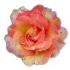 Стикер 47 🤩 flowers - цветы