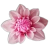 Стикер 21 🤩 flowers - цветы