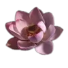 Стикер 22 🤩 flowers - цветы