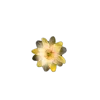 Стикер 32 🤩 flowers - цветы