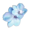 Стикер 16 🤩 flowers - цветы
