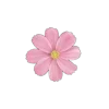 Стикер 28 🤩 flowers - цветы