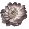 Стикер 58 🤩 flowers - цветы