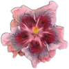 Стикер 43 🤩 flowers - цветы