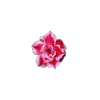 Стикер 30 🤩 flowers - цветы
