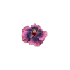 Стикер 31 🤩 flowers - цветы