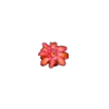 Стикер 25 🤩 flowers - цветы