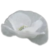 Стикер 50 🤩 flowers - цветы