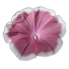 Стикер 52 🤩 flowers - цветы